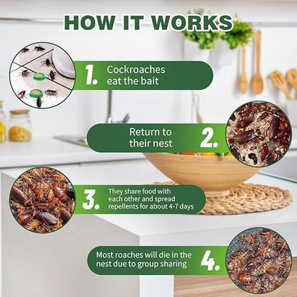 RoachX – Instant Cockroach Killer Gel for Kitchen & Cabinets